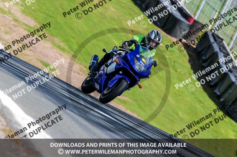 Oulton Park 20th March 2020;PJ Motorsport Photography 2020;anglesey;brands hatch;cadwell park;croft;donington park;enduro digital images;event digital images;eventdigitalimages;mallory;no limits;oulton park;peter wileman photography;racing digital images;silverstone;snetterton;trackday digital images;trackday photos;vmcc banbury run;welsh 2 day enduro